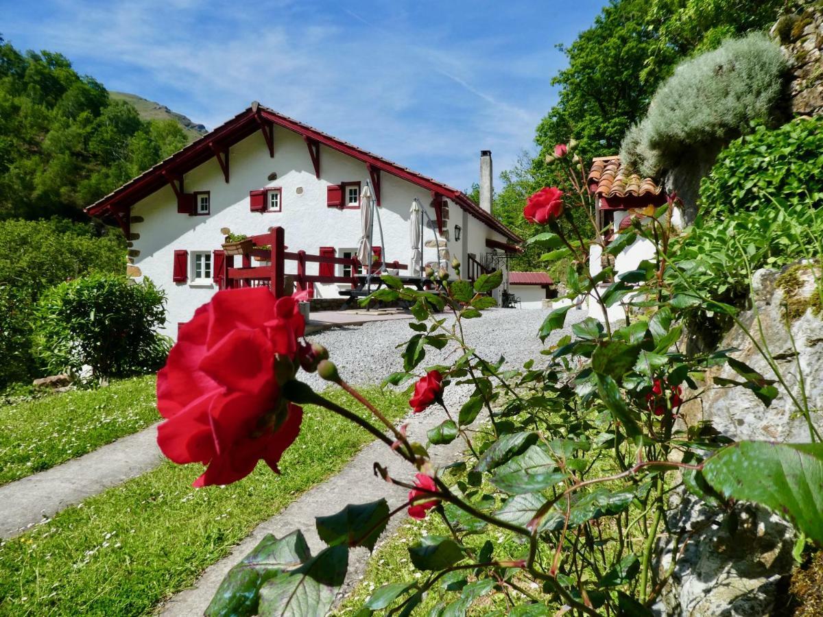Chambres D'Hotes Agorerreka Saint-Etienne-de-Baigorry Luaran gambar